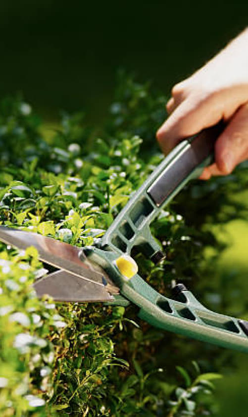 Концепция квартала