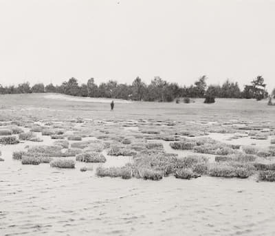 Фотография DEPO