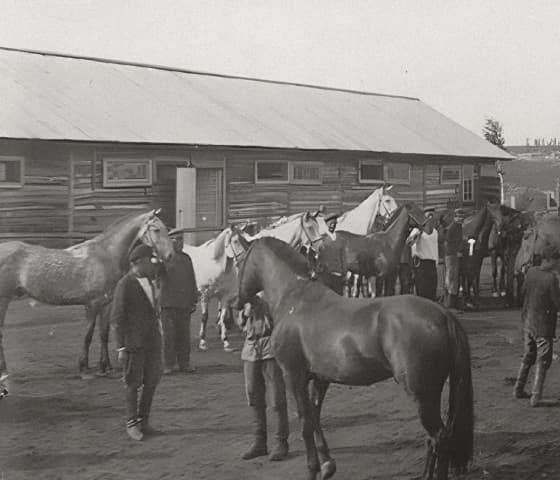 Фотография DEPO